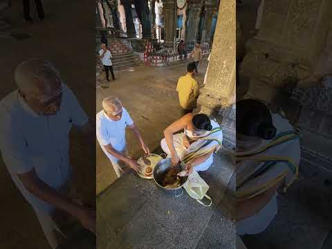Prasadam Distribution 3.8.23 #srinatarajar | #temple | #prasadam #distribution |