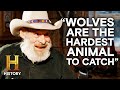 Trapping and Skinning Techniques in Montana