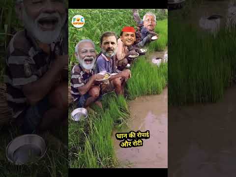 मोदी जी ने धान की रोपाई करते वक्त खेत पर खाया खाना | Comedy #shorts