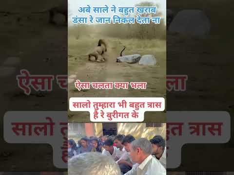 दम है तो हसी रोक के दिखाओ 🤣😂 #youtubeshorts # #funnyshorts #comedy shorts #comedy #funyvido