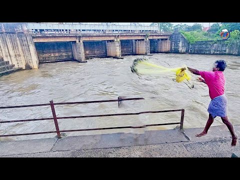 Underwater Machli Wala in Dam Fishing PESCADO मछली पकड़ना Fish Hunting Fishing