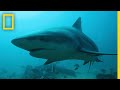 Cabo Pulmo: A Journey from Fishing to Eco-Tourism