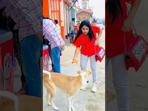 দেখুন মেয়ে টা কি চালাক 😁😁#shorts #funny #shortvideos #viral #comedy #trending
