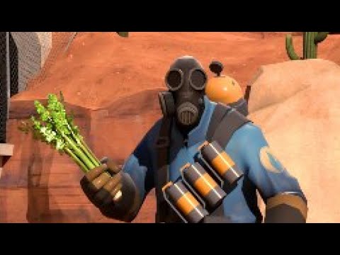 celery stream