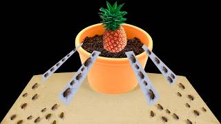 WE BUILT A FARM IN A VILLAGE FOR COCKROACHES AND PLANTED EXOTIC FRUITS IN IT!