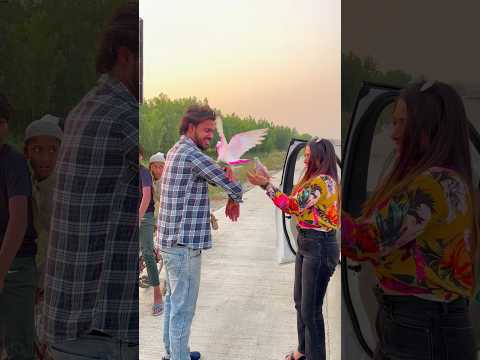 यह बोलने लगी बाइक रोक लो हमको वीडियो बनानी है आपके कबूतर ke साथ😍 #public #reaction #kabootarlovers