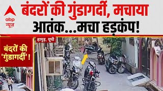 Viral Video: बंदरों का कोहराम...पब्लिक परेशान! News@10