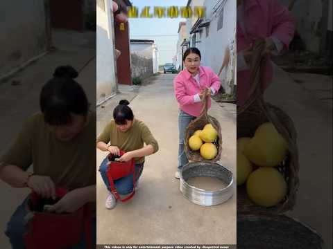 सकीना को लालच देकर कद्दू चुरा लिया 😨| #shorts