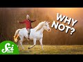 The Science of Unicorns