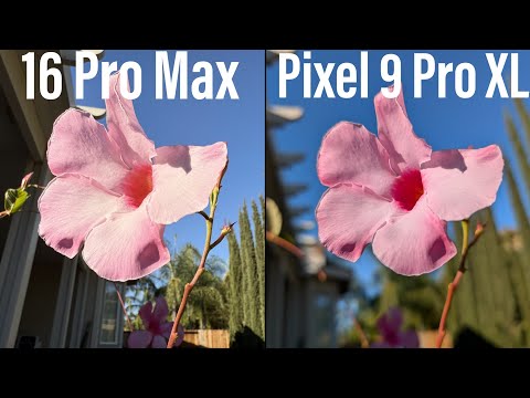 iPhone 16 Pro Max vs Google Pixel 9 Pro XL CAMERA Test! 📸