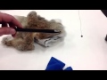 Electric Charge and Franklin's Model