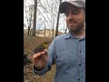 Birds and Their Ecosystem Roles