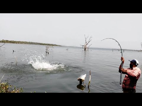 RIVER FISHING 🎣 VIDEO By FLOAT SINGLE HOOK BiG Rohu Fish Hunting in Krishna River