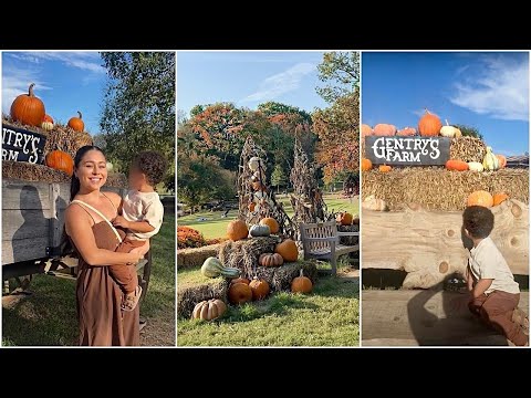 Fall Month In My Life As A Mom