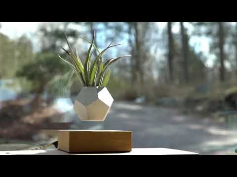 Левитирующий вазон FLYTE Planter, основа орех, фото 9