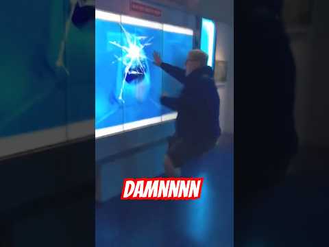 Almost took himself out! #trendingshorts #shortsfeed #shortsviral #shark