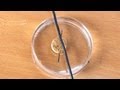 Cuestionario sobre el Experimento de Oersted