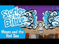 Israelites' Journey and God's Guidance