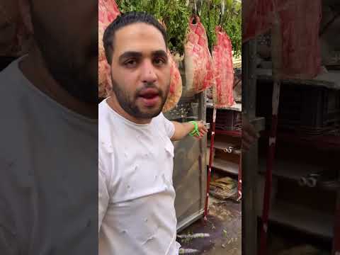 حفيد ابراهيم الطوخي كل حاجه شغاله