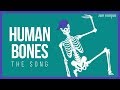 Exploring the Human Skeletal System Through Song