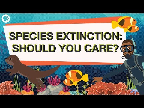 Are endangered species worth saving?