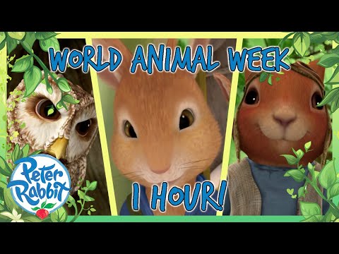 @OfficialPeterRabbit - 🍿🐰 1 Hour Animal Week Special 🎥🐿️ | Cartoons for Kids