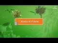 Common Plants and Their Uses