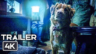GOOD BOY Tráiler Oficial Español Subtitulado (2025) Terror