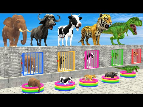 Cow Elephant Tiger Buffalo T-Rex Choose Right Color Challenge, Help Animals Escape Prison Game