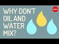 Understanding Why Salt Dissolves in Water but Oil Doesn't
