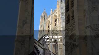 When we hardly háve snowdrops in Bohemia; Canterbury Cathedral Grounds are  always blooming