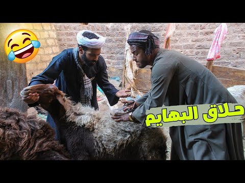 اغرب حلاق بهايم ممكن تشوفه في حياتك هيفصلك ضحك