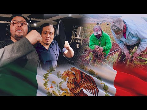 HIMNO MIGRANTE - LOS BERNAL DE LINARES (VIDEOCLIP OFICIAL)