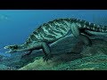 Turtle Evolution and Conservation Concepts