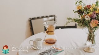 「無廣告版」大自然音律 & 寧靜鋼琴 ☕ 讀書＆專心 ～ Relax Piano ＆ Forest Nature Ambience