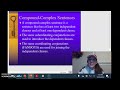 Exploring Complex and Compound-Complex Sentences