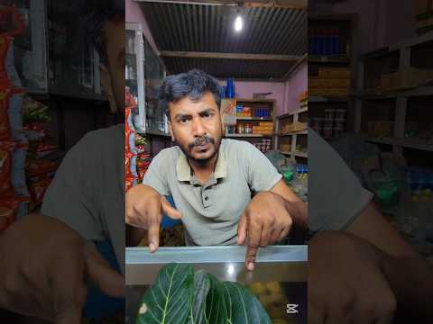 আইস ললি । #tanding #video #viral #new #funny #banglafuny #comedy #foryou