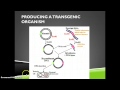 Genetic Engineering and DNA Analysis