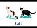 Vietnamese Vocabulary: Cats and Pets