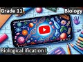 Classification of Living Organisms