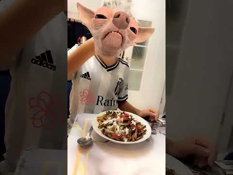 Köpek çatalı yedi!! #aboneol #shortvideo #keşfet