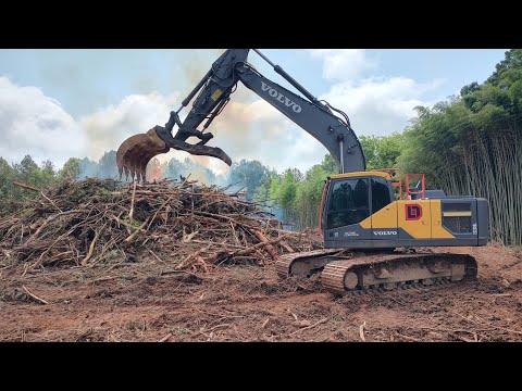 Burning The Bamboo Mountain