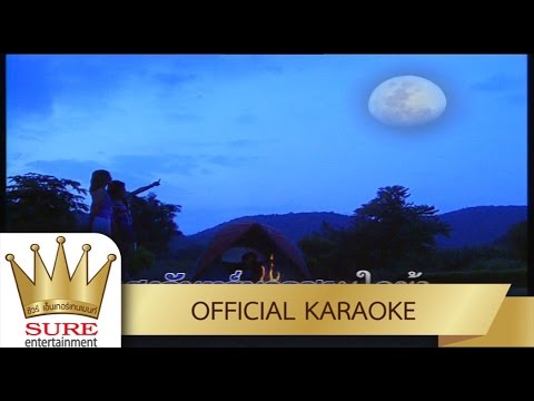 เดือนเพ็ญ – ธานินทร์ อินทรเทพ [KARAOKE OFFICIAL]