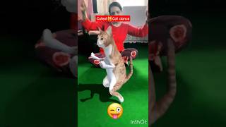 Funny Cat Dance |💃😅😻Patali KamariyaSong | Cute Cat Shorts catdance #funnycat #shorts#cutecat #dance