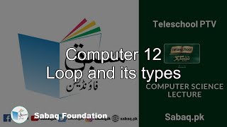 Computer 12 Loop and its types