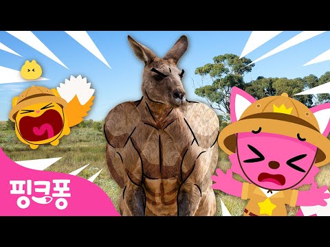 [NEW⭐️] 도망쳐! 알고보면 무시무시한 동물들! | 핑크퐁, 그거 알아? | 과학동요 | 동물동요 | #공부친구 | 핑크퐁! 인기동요