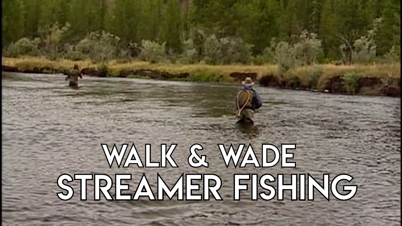 Walk & Wade Streamer Fishing for Trout - Madison River Montana - The New Fly Fisher