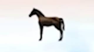 weird horse games