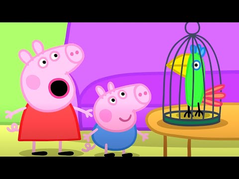 Peppa Pig Meets a Parrot! 🐷 | Peppa Pig | Full Episode Collection | Cartoons for Kids