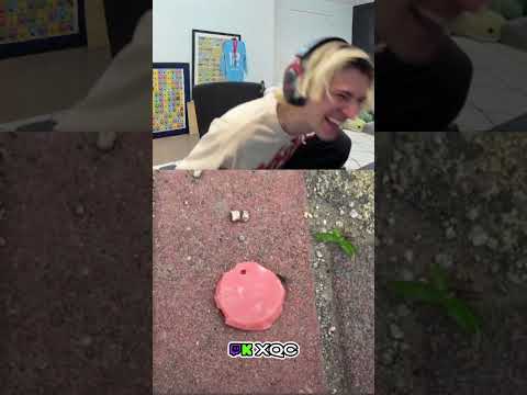 xQc watches a poor ant getting trolled